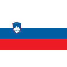 Flag Slovenia printwear  - Flagi