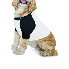 Dog Poly-Cotton 3/4 Sleeve Raglan T-Shirt American Apparel BB953W - Nici, folie i akcesoria