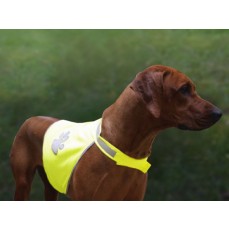 Stretchy Hi-Vis Safety Vest For Dogs Buenos Aires Korntex KTH100 - Kamizelki