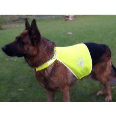 Stretchy Hi-Vis Safety Vest For Dogs Buenos Aires Korntex KTH100 - Kamizelki
