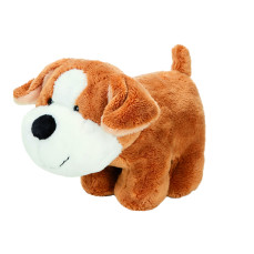 Good nose Corgi Sammi Mbw M160933 - Nici, folie i akcesoria
