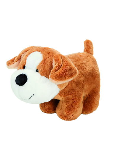 Good nose Corgi Sammi Mbw M160933 - Nici, folie i akcesoria