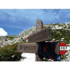 Bandana Schwarzwolf outdoor  - Bandany