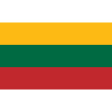 Flag Lithuania printwear  - Flagi