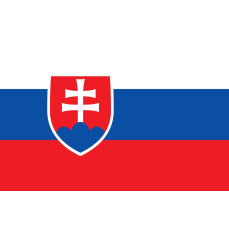 Flag Slovakia printwear  - Flagi