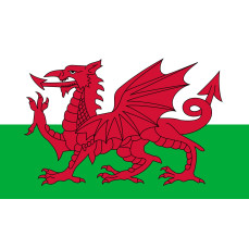 Flag Wales printwear  - Flagi