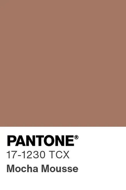 Pantone mocha mousse