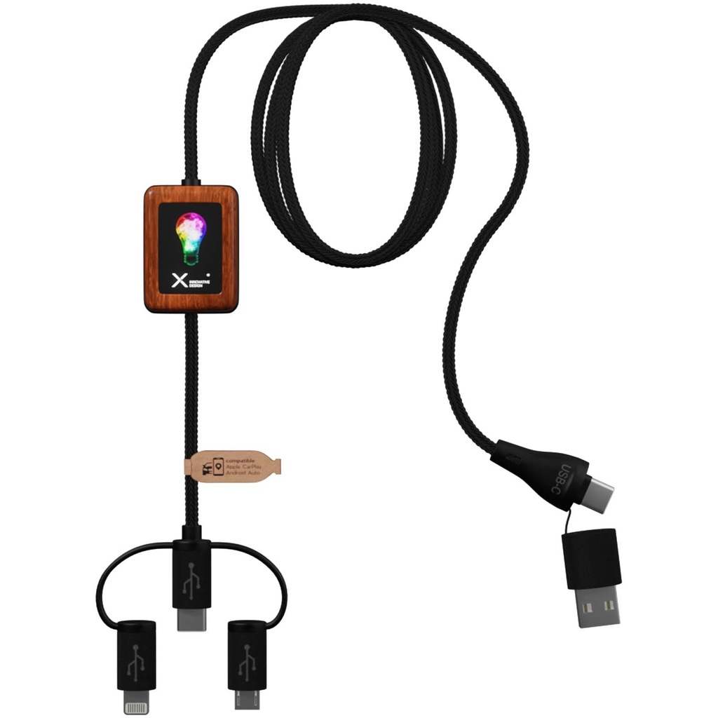 2PX13890_E1.jpg