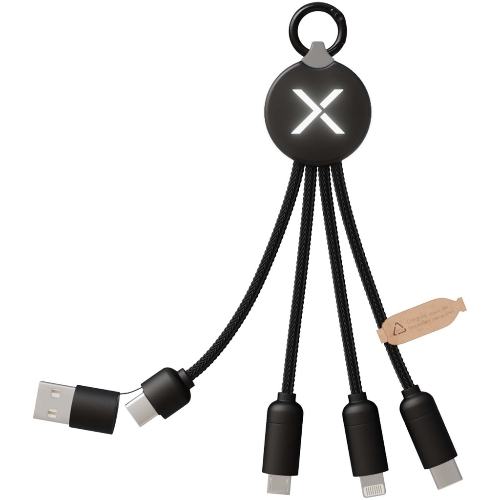 2PX17990_F1.jpg