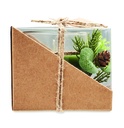 item_picture_top