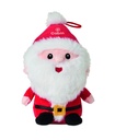 item_picture_1