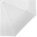 10901604_D1.jpg