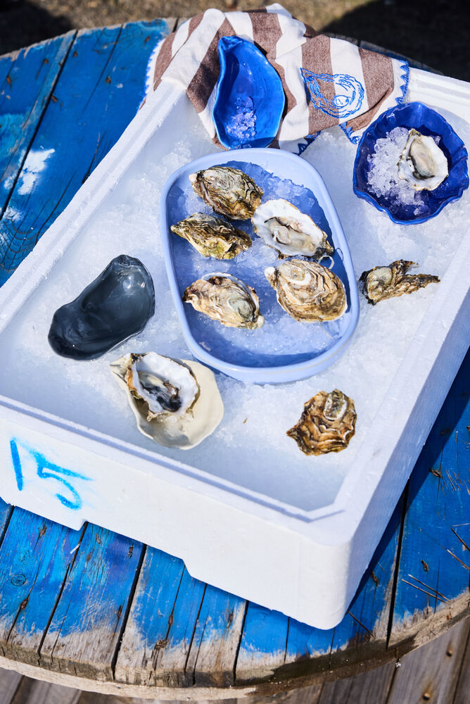 BYON -  - 014 - ujęcie 4