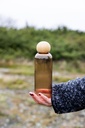 SAGAFORM - katalog -  -  - ujęcie 1