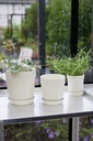 SAGAFORM - katalog -  -  - ujęcie 3