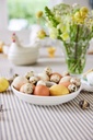 SAGAFORM - katalog -  -  - ujęcie 13