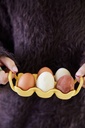 SAGAFORM - katalog -  -  - ujęcie 3