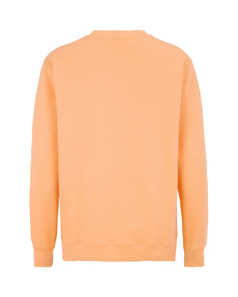 COTTOVER - katalog - Tył - 275 - ujęcie 2