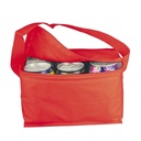 torba-termiczna-na-6-puszek-330-ml-aspen-700405-3.jpg