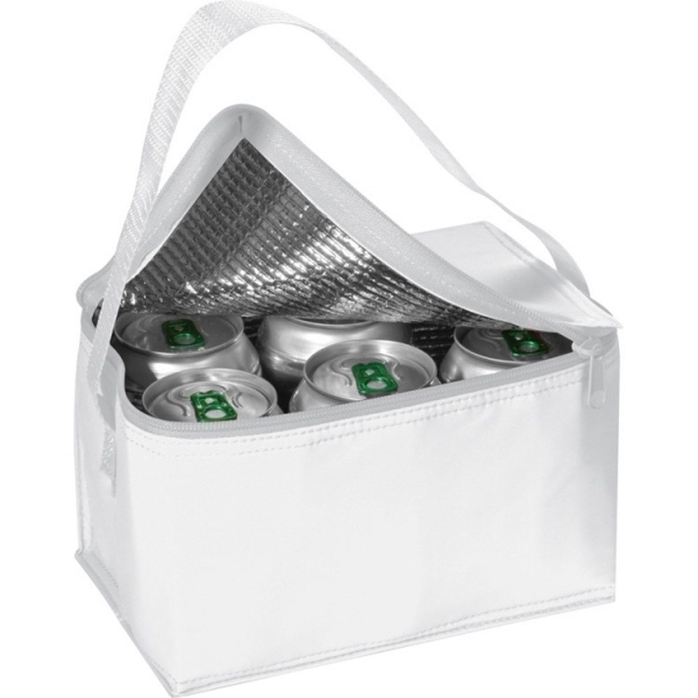 torba-termiczna-na-6-puszek-330-ml-aspen-700406-3.jpg