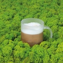 kubek-szklany-do-kawy-genova-300-ml-798166-3.jpg