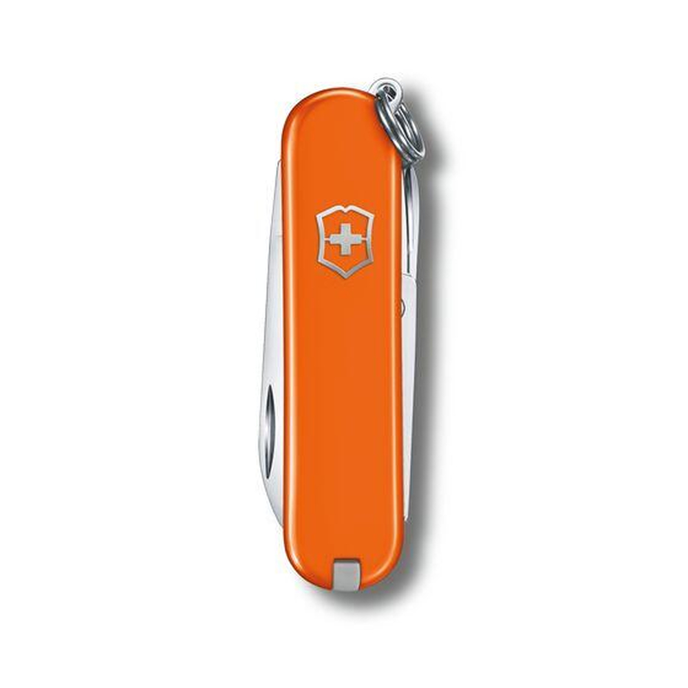scyzoryk-classic-sd-victorinox-0622383g10-2.jpg