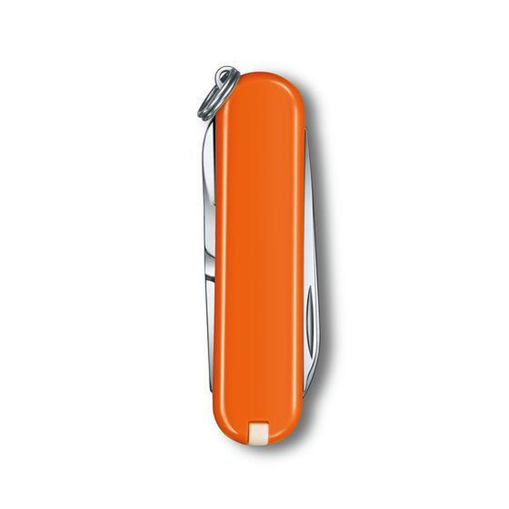 scyzoryk-classic-sd-victorinox-0622383g10-3.jpg