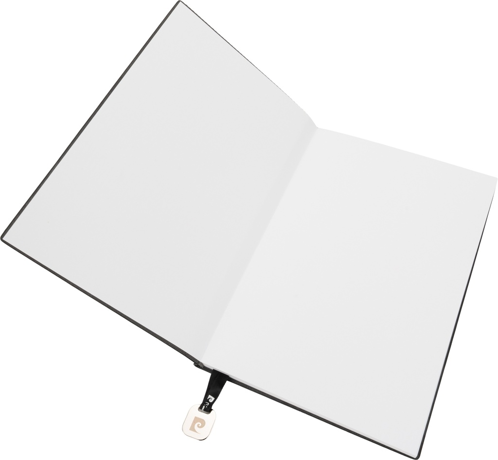 zestaw-notatnik-w-linie-i-dlugopis-chantal-pierre-cardin-b4016700ip303-3.jpg
