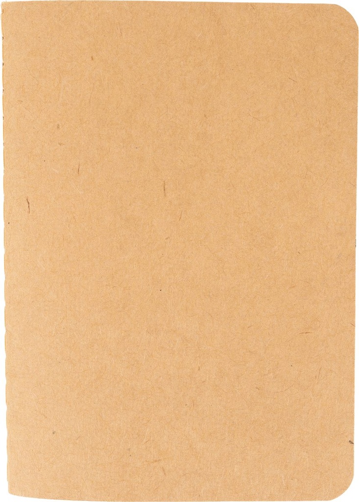 2447813_7.jpg