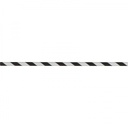 8119103_3.jpg