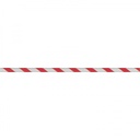 8119105_3.jpg