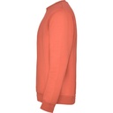 RY1070 Coral 120 3