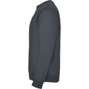 RY1070 Ebony 231 3