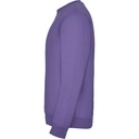 RY1070 Iris Purple 711 3