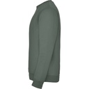 RY1070 Laurel Green 275 3