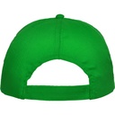 GO7000 226 p_7000_226_2_1