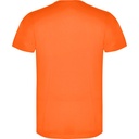 CA6534 223 p_6534_223_2_1