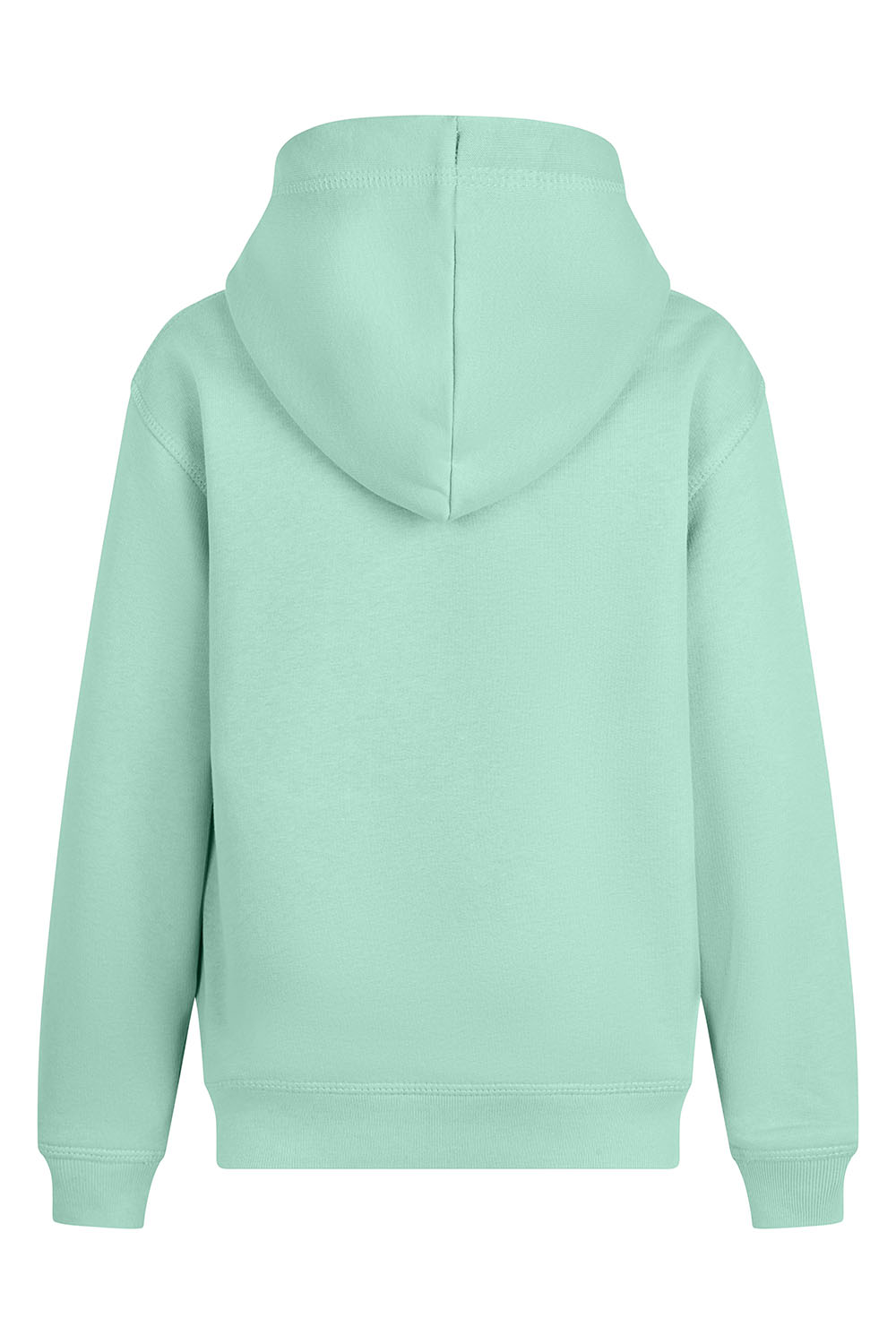 SHN300K 519 - 2