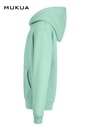 SHN300K 519 - 3