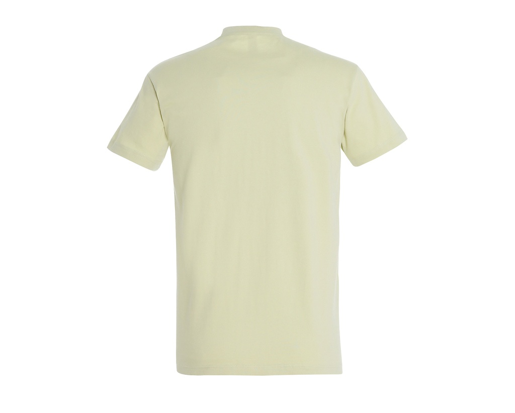 T-shirt klasyczny z krótkim rękawem Heavy Jersey - Sage Green