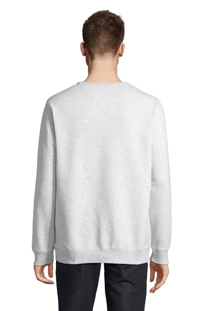 Bluza męska z okrągłym dekoltem - Ash (Heather) - Black (Striped)