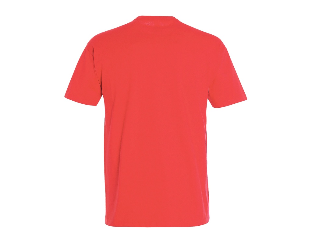 T-shirt klasyczny z krótkim rękawem Heavy Jersey - Hibiscus