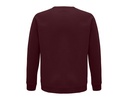 Bluza unisex z raglanowymi rękawami - Burgundy