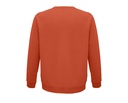 Bluza unisex z raglanowymi rękawami - Burnt Orange
