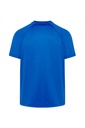 Męski T-shirt Sportowy Slim z Raglanowymi Rękawami - Royal Blue