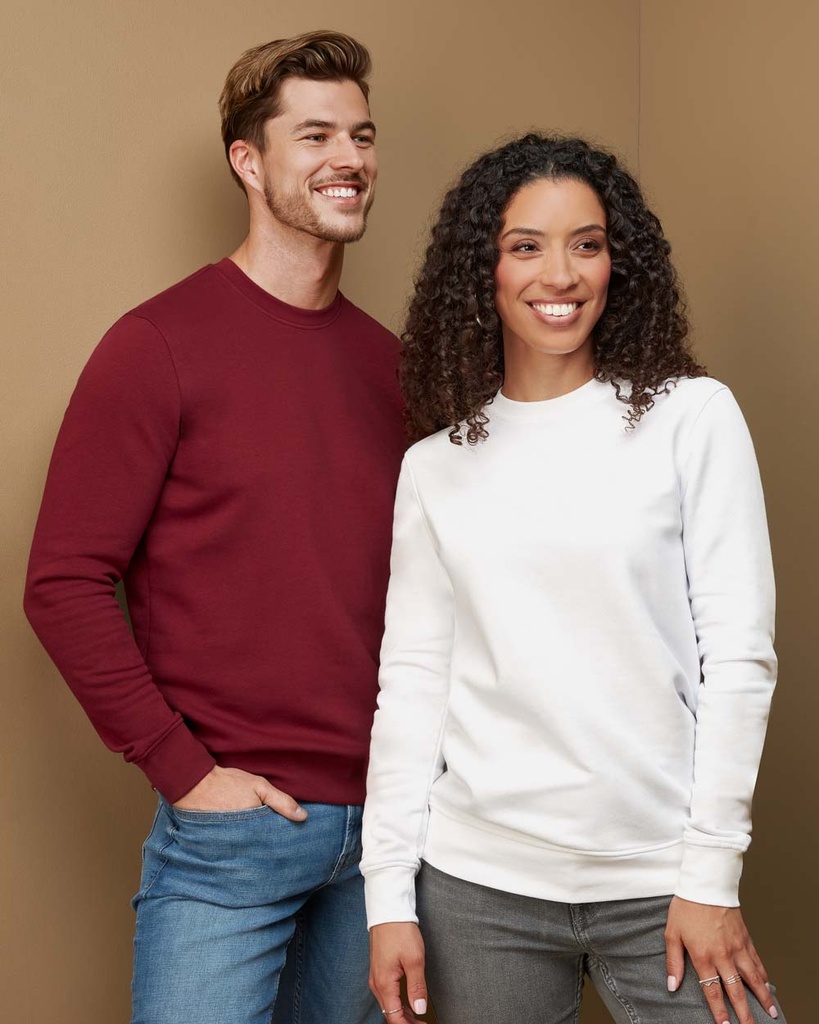 Stedman ST4300 — zdjęcie modelowe