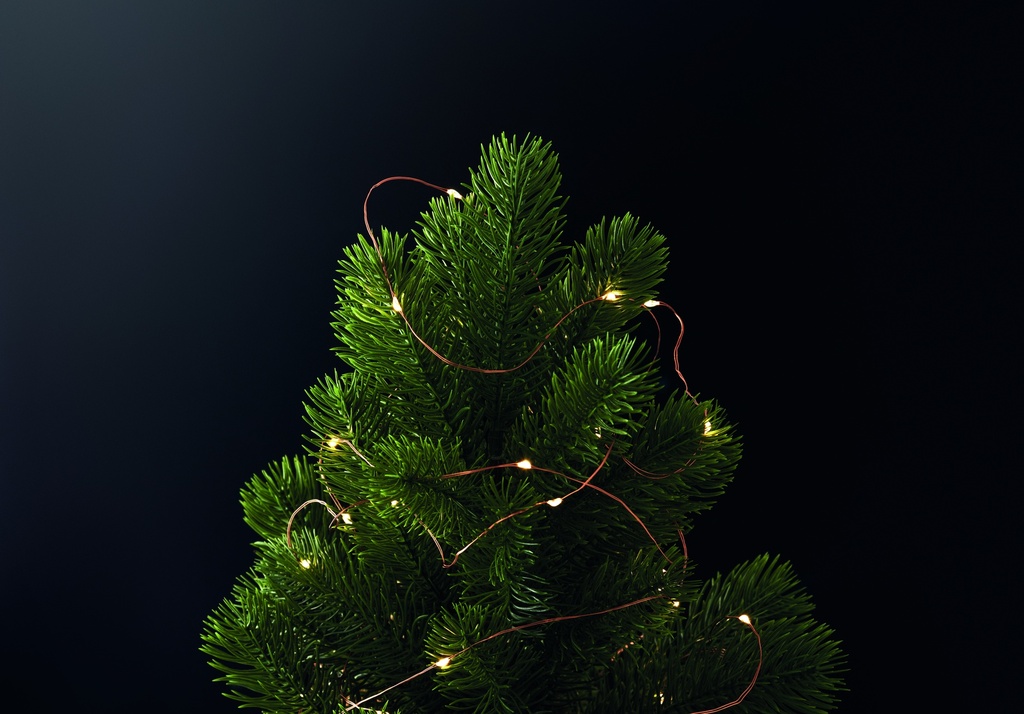 item_ambiant_picture