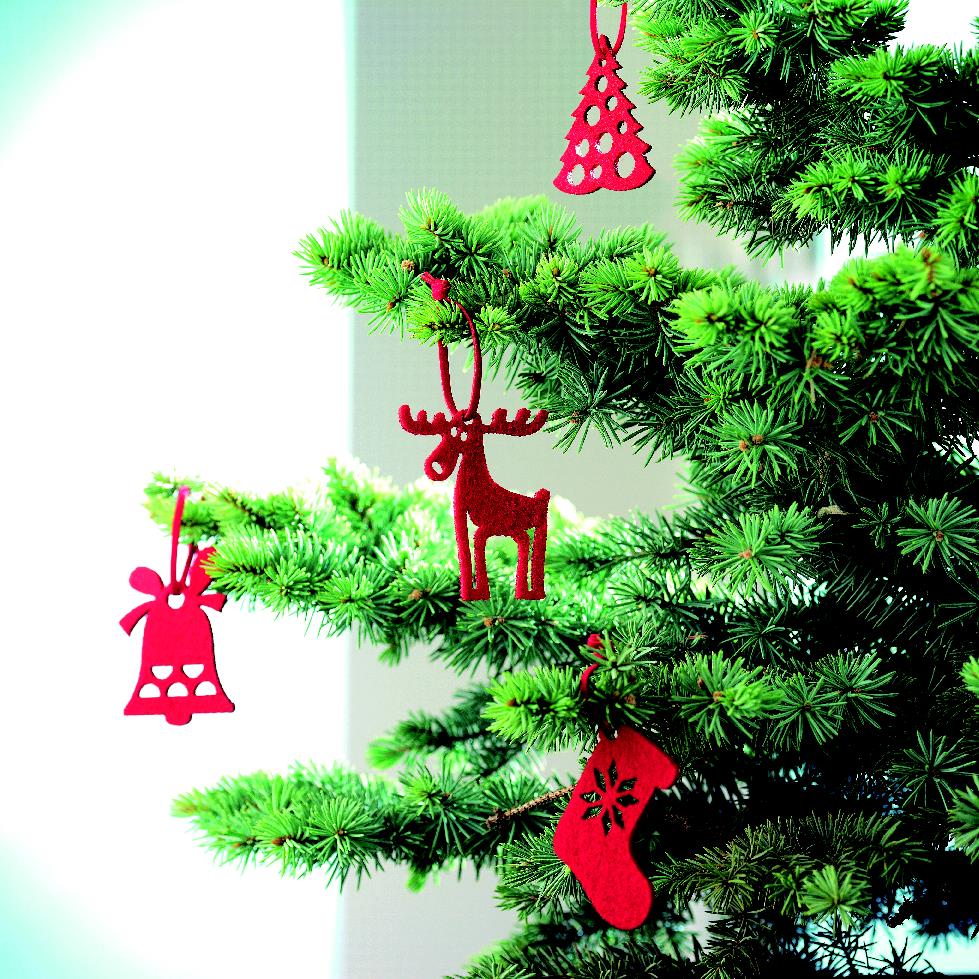 item_ambiant_picture