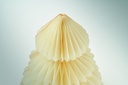 item_detail_picture