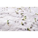item_picture_5
